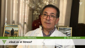 el stress ¿Que es?